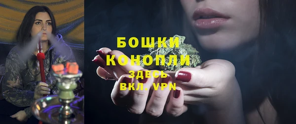 шишки Богородск
