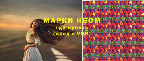 соль ск Бородино