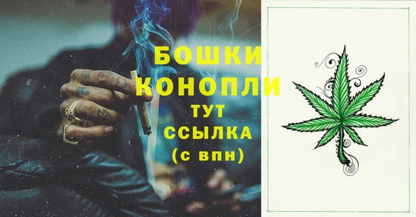 соль ск Бородино