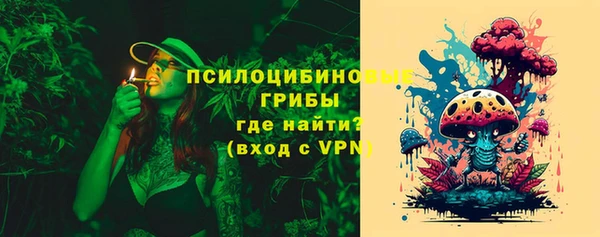 соль ск Бородино
